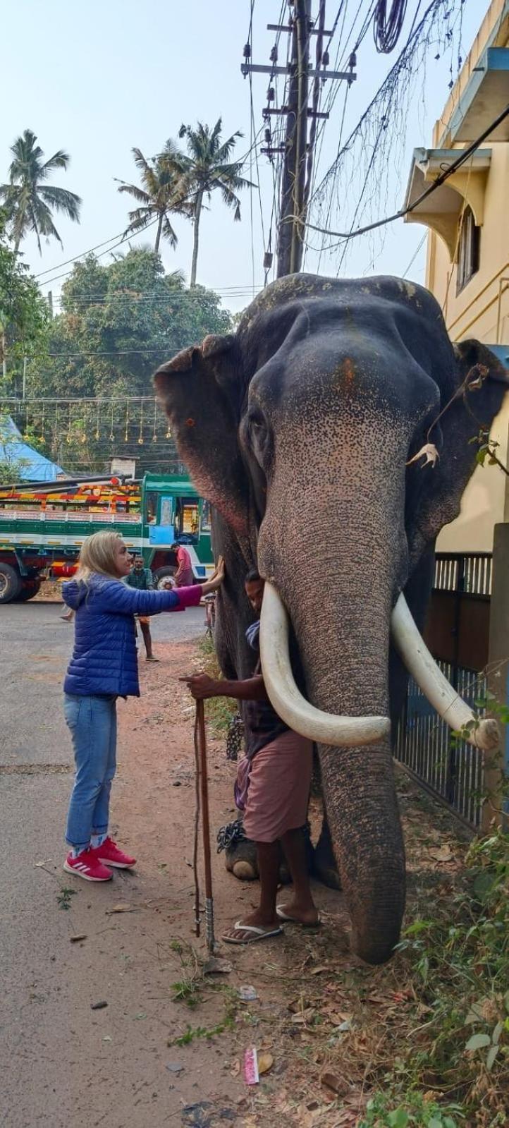 Heinrich Wolfi Heritage Kayankulam